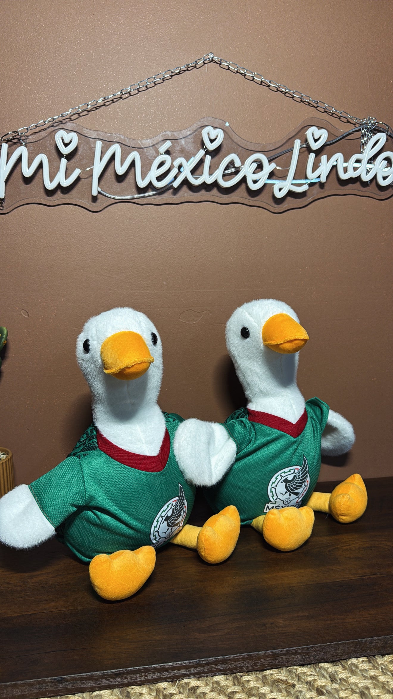 Merlin ducks drom Mexico City